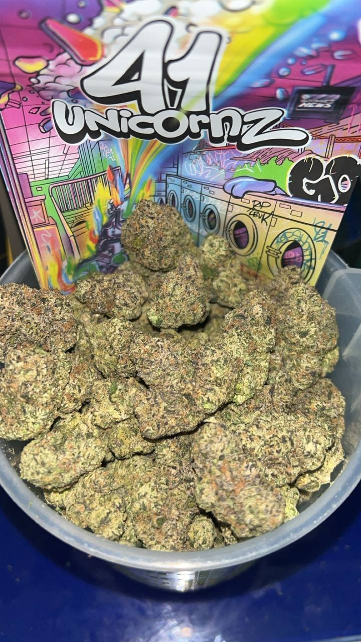 IMG_20240808_205222_285.jpg weed pound
