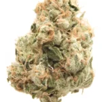 Buy Sour Diesel Strain