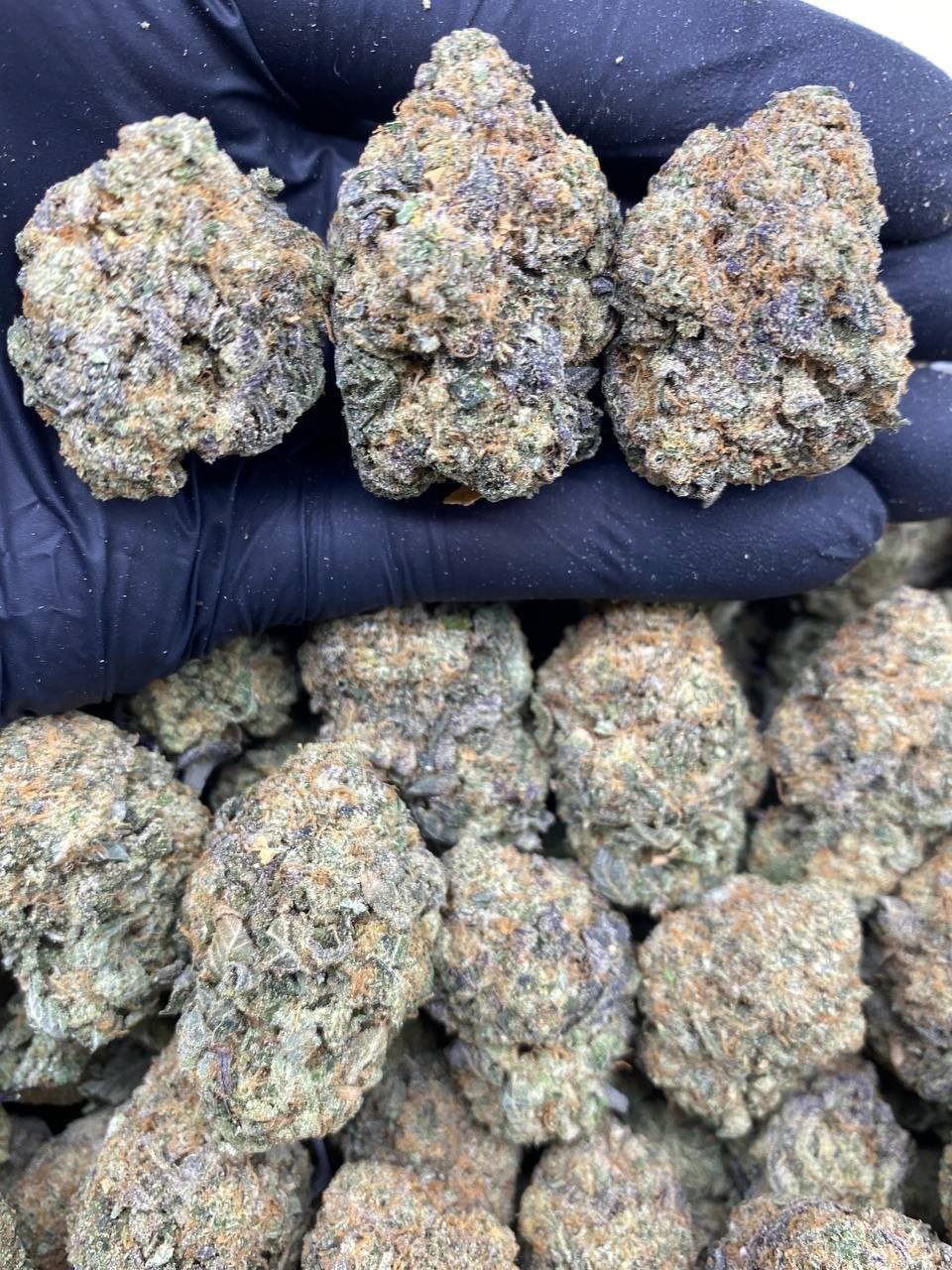 2.jpg Blue Gelato Strain - Image 1