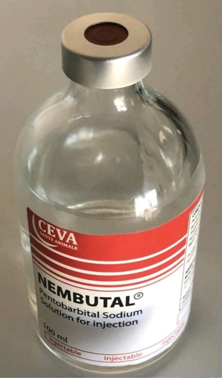 BUY-MEMBUTAL-IN-USA-FAST-DELIVERY.jpg BUY MEMBUTAL IN UK FAST DELIVERY