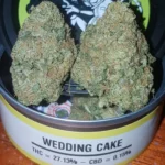 Space Monkey Meds Wedding Cake UK - Image 2