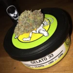 Space monkey meds Gelato 33 - Image 2