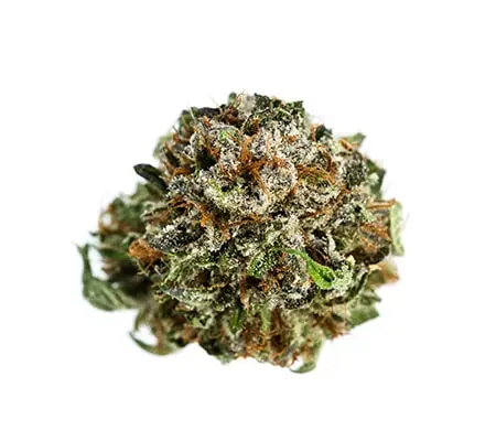 banner-450-min-32-1.webp LSD Strain - Image 1