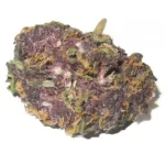 Granddaddy Purple Strain