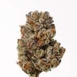 Ice Cream Strain - Image 4