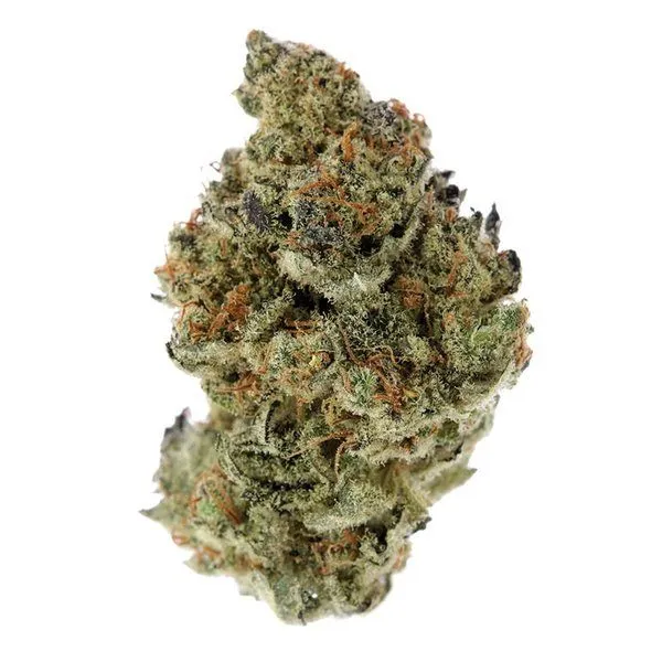 zzz-3.webp White Grapefruit - Image 1